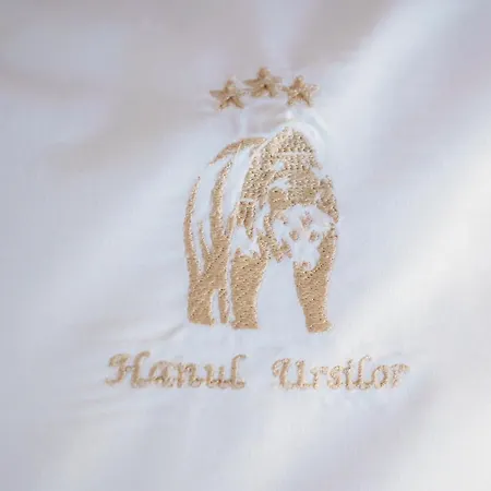 Hanul Ursilor טרגו ניאמץ